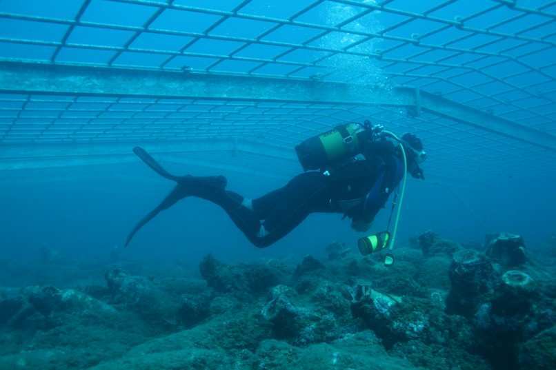 Underwater archaeological finds in Cavtat